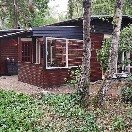 Bosbungalow De Eekhoorn Nunspeet Zewnętrze zdjęcie