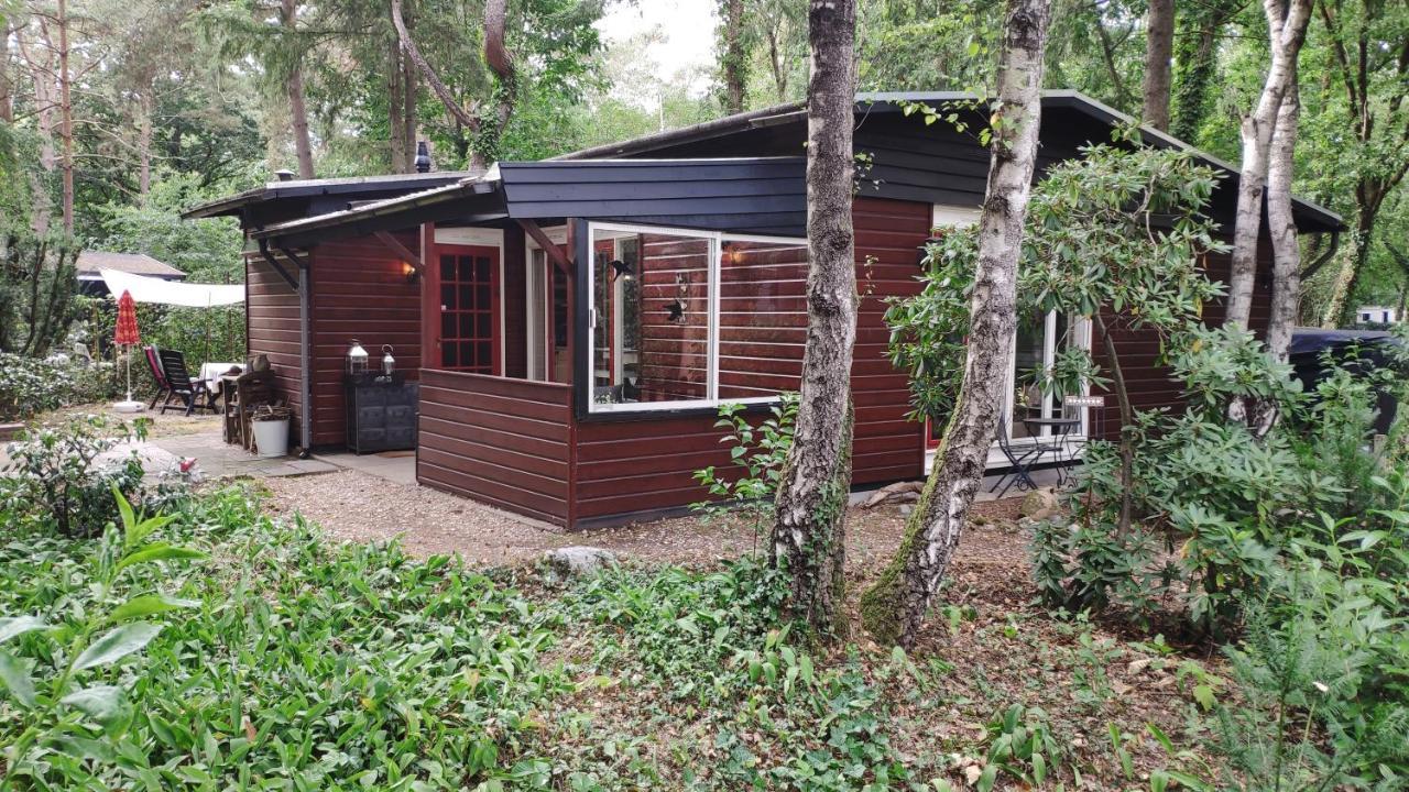 Bosbungalow De Eekhoorn Nunspeet Zewnętrze zdjęcie